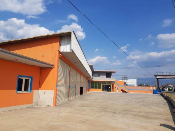Elbasan, shitet ambjent biznesi 1.672 m² 650.000 Euro