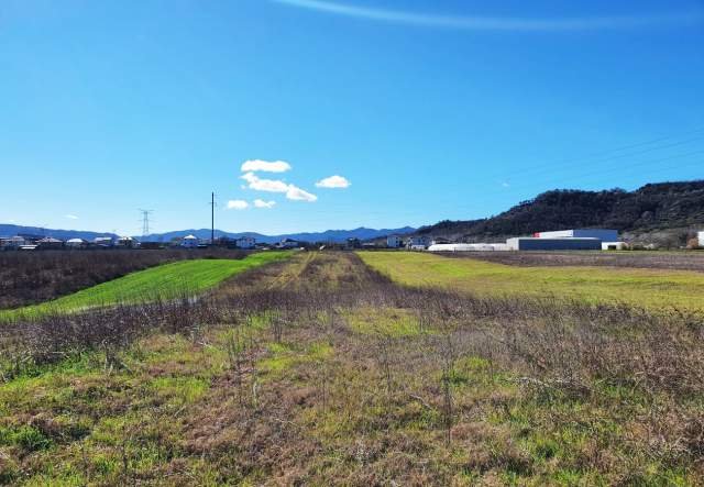 Tirane, shes toke 5.000 m² 250.000 Euro