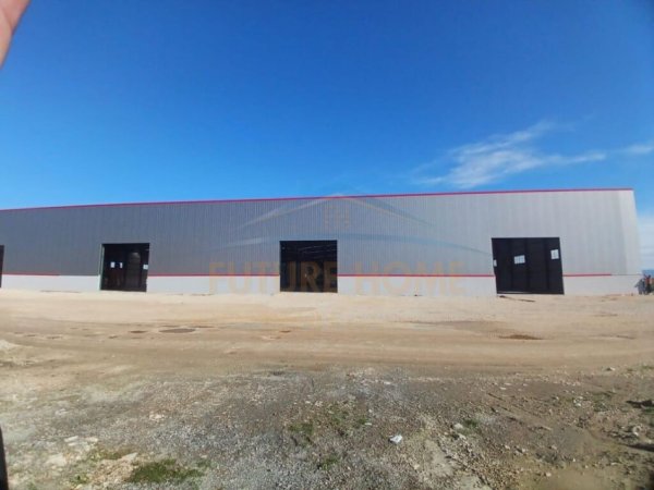 Qera, Kapanone, Sektor Rinia, Durres