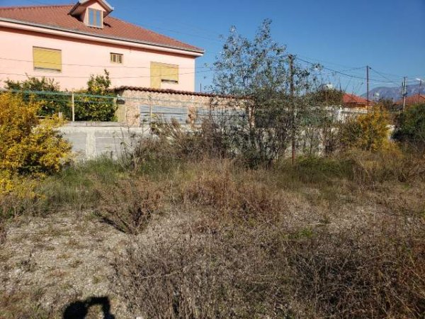 Tirane, shes toke 750 m² 56.000 Euro