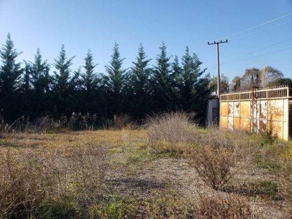 Tirane, shes toke 750 m² 56.000 Euro