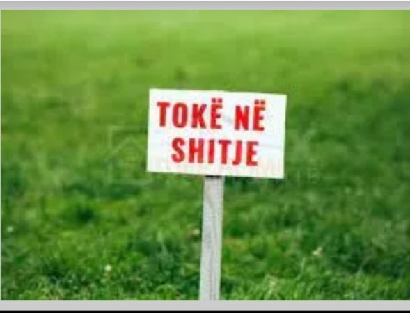 Shitet toke  395 Ha (Kolonje)