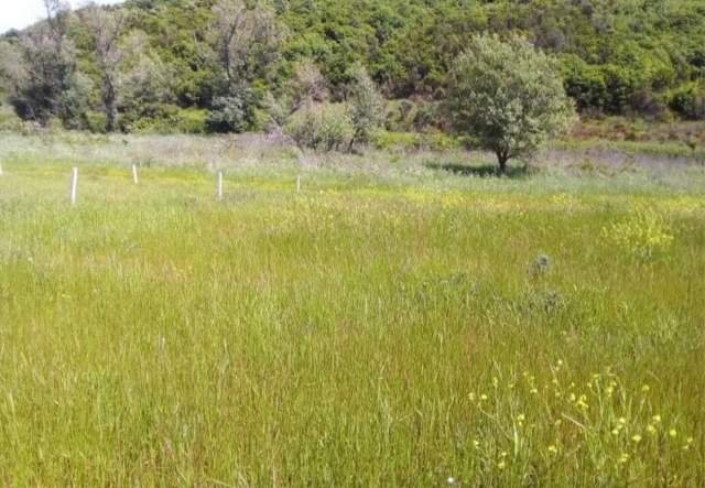 Durres, shes toke 2.000 m² 3.000.000 Leke