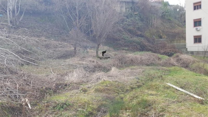 Tirane, shitet truall , , 440 m² 101,200 € (VILAT GJERMANE)