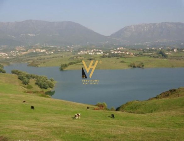 Tirane, shitet truall , , 500 m² 50,000 € (FARKE E MADHE)