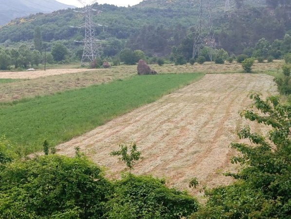 Tirane, shitet toke , 1,400 m² 91,000 € 