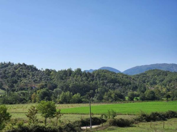 Tirane, shes toke 20.000 m² 600,000 Euro (Baldushk)