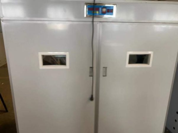 SHITET INKUBATOR I RI (PAPERDORUR) FULL AUTOMATIK PER RRITJEN E ZOGJVE KAPACITETI 3200 VEZE (per arsye ndryshim biznesi)  5200 euro