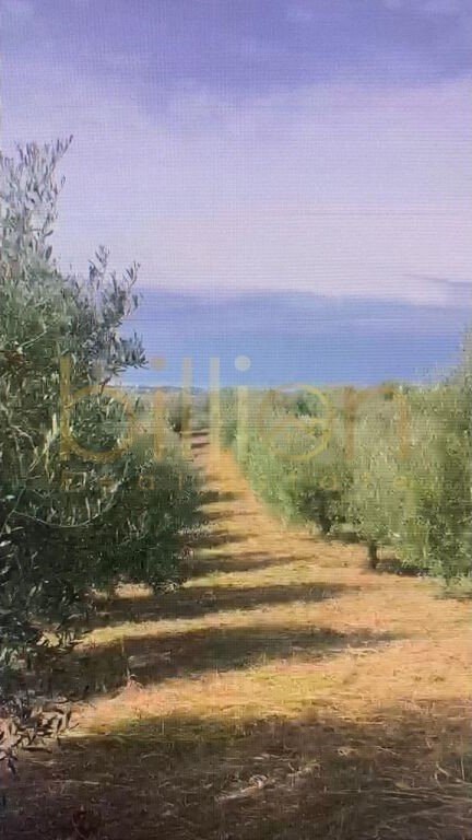 Durres, shitet toke , 8.700 m² 237.000 € (Durrës, Albania)
