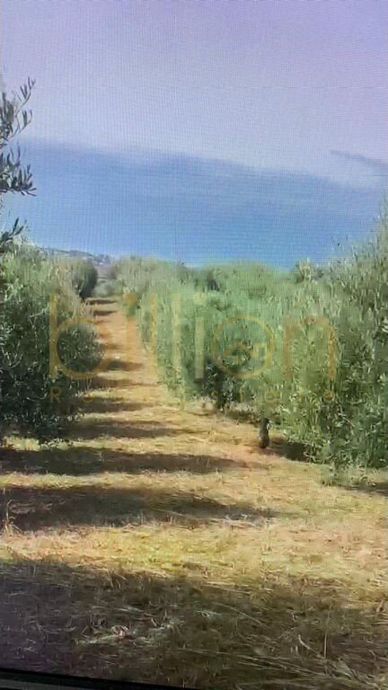 Durres, shitet toke , 8.700 m² 237.000 € (Durrës, Albania)
