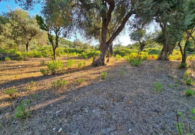 Himare, shes truall 720 m² 43.200 Euro