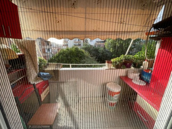 Tirane, shitet apartament 3+1 Kati 4, 110 m² 140.000 € (Ali Demi)