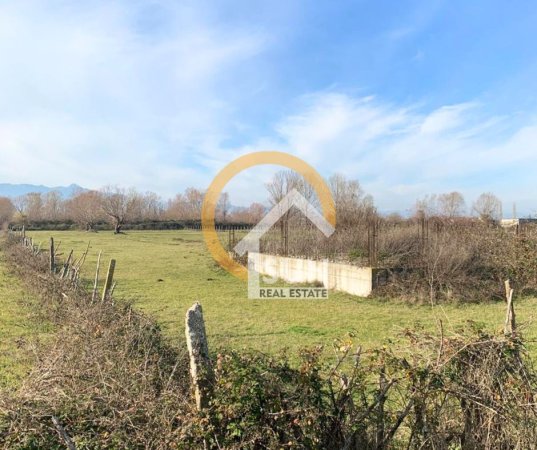 Shkoder, shitet toke , 4.000 m² 44.000 € (SHTOJ I RI)