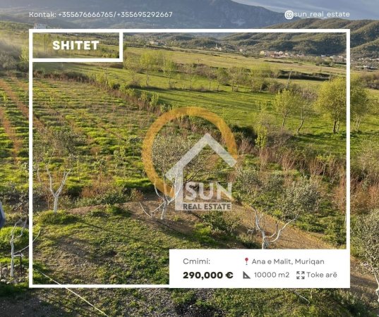 Shkoder, shitet toke , 100.000 m² 290.000 € (ANA MALIT, MURIQAN)
