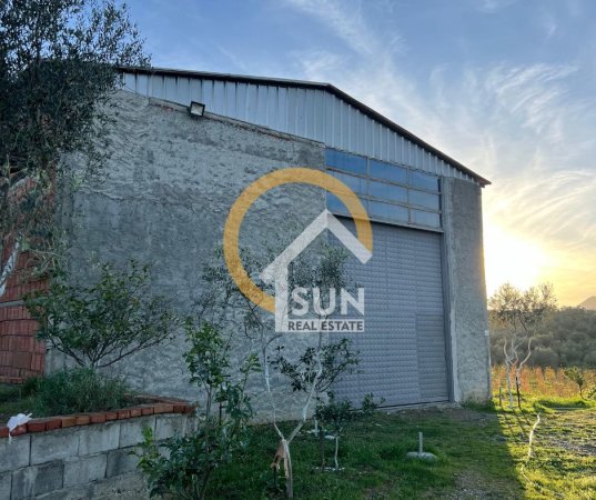 Shkoder, shitet toke , 100.000 m² 290.000 € (ANA MALIT, MURIQAN)
