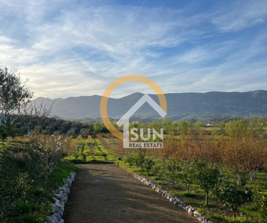 Shkoder, shitet toke , 100.000 m² 290.000 € (ANA MALIT, MURIQAN)