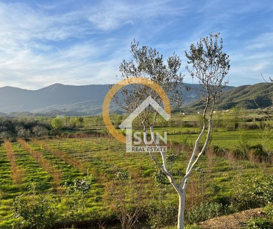 Shkoder, shitet toke , 100.000 m² 290.000 € (ANA MALIT, MURIQAN)
