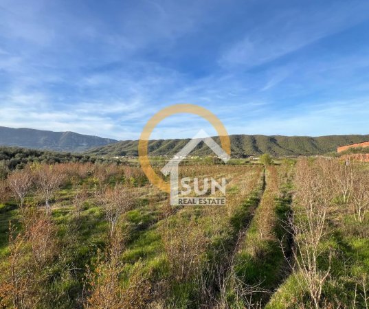 Shkoder, shitet toke , 100.000 m² 290.000 € (ANA MALIT, MURIQAN)