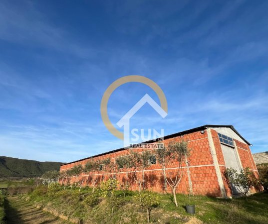Shkoder, shitet toke , 100.000 m² 290.000 € (ANA MALIT, MURIQAN)