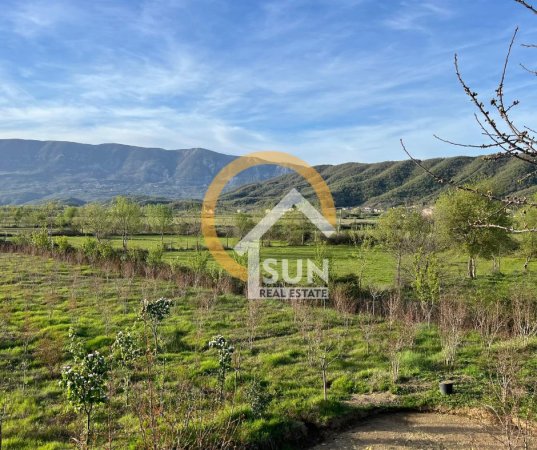 Shkoder, shitet toke , 100.000 m² 290.000 € (ANA MALIT, MURIQAN)