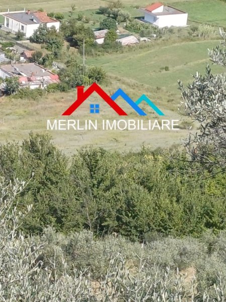 Tirane, shes toke , 10.000 m² 380.000 € (Vore)
