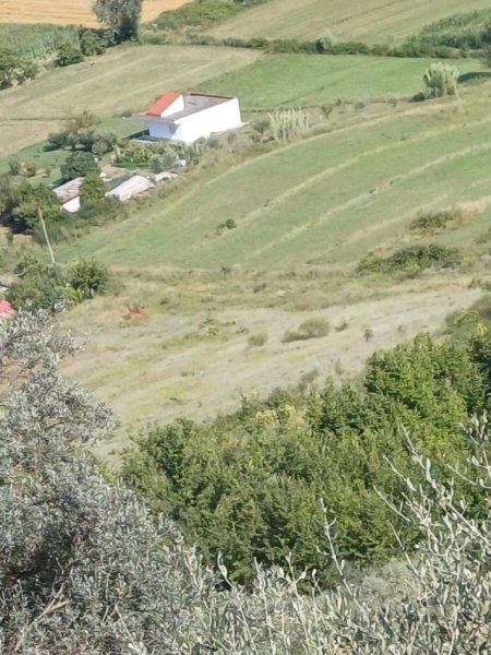 Tirane, shes toke , 10.000 m² 380.000 € (Vore)