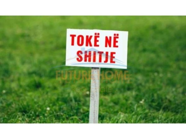 Tirane, shitet toke , 4.000 m² 190.000 € (Tagan Vishaj)