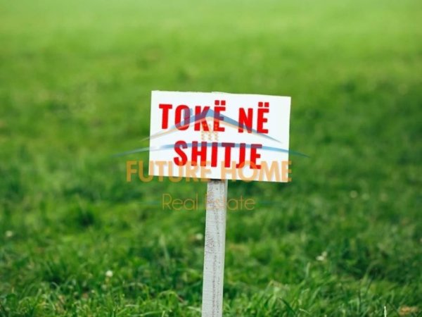 Shqiperi, shitet toke , 4.200 m² 336.000 € (Berxulle)
