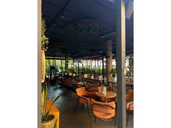 Tirane, shitet lokal Kati 0, 185 m² 260.000 € (PORCELANI)