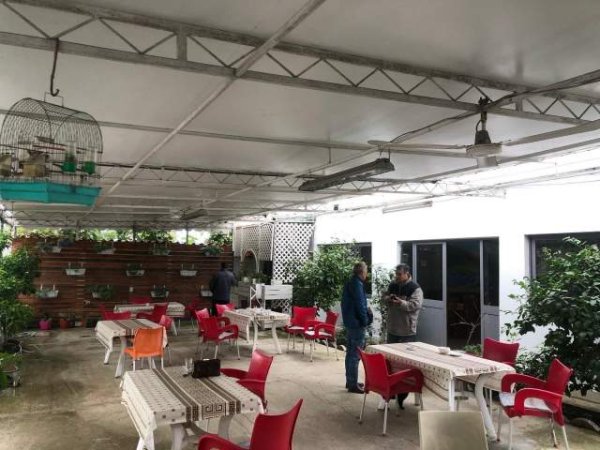 Tirane, shes ambjent biznesi Kati 0, 400 m² 500.000 Euro
