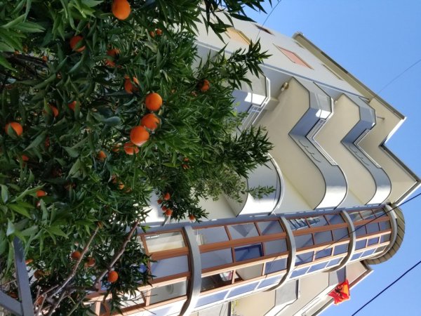 Tirane, jap me qera Vile 5 kateshe, e mobiluar, 3700 € (Dhimiter Pasko, Selite)