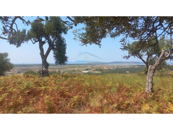 Vlore - Lungomare - Uji i Ftohte, shes , 8.100 m² 324.000 € (Pus Mezin, Vlore)