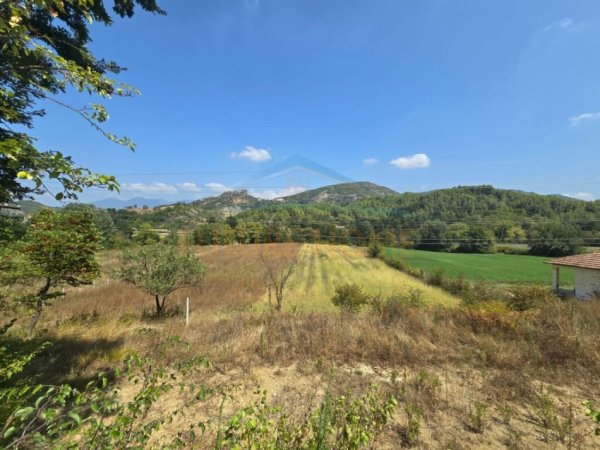 Tirane, shitet toke , 4.000 m² 120.000 € (Petrele)