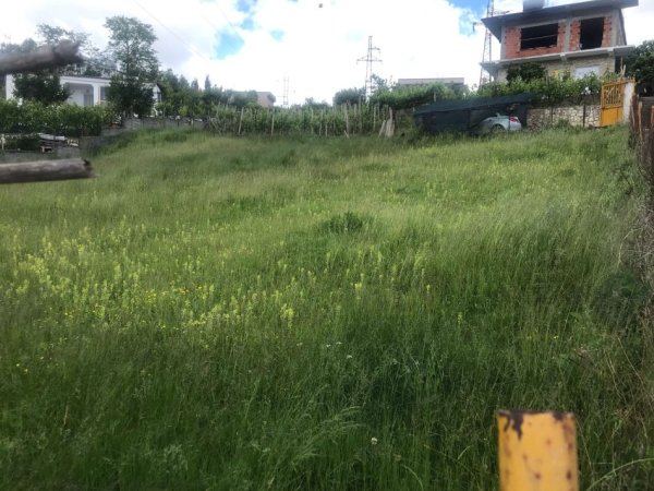 Durres, shitet toke , 700 m² 55.000 € (në Shkozet Durres.)