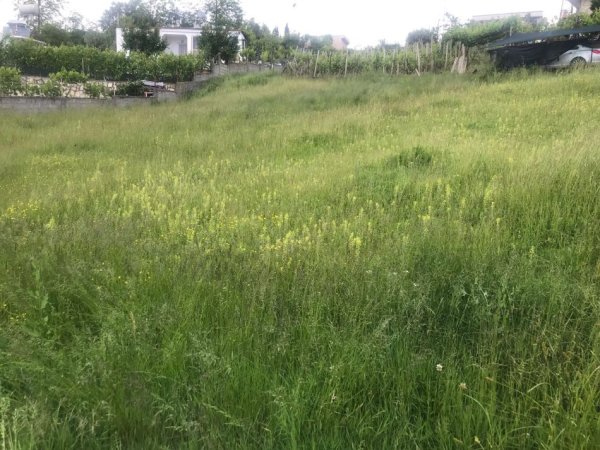 Durres, shitet toke , 700 m² 54.000 € (në Shkozet Durres)