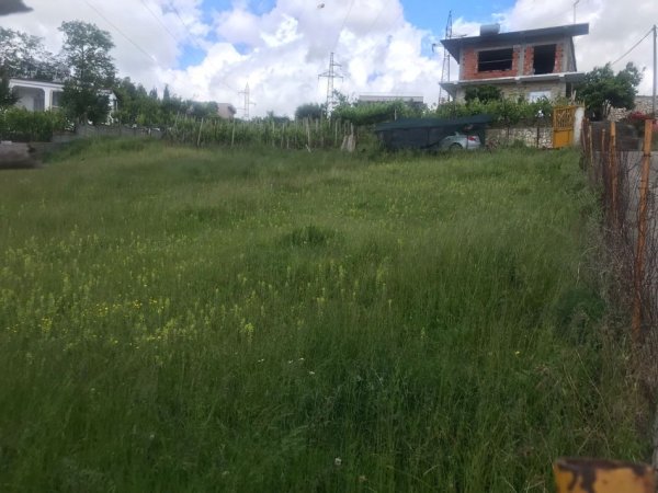 Durres, shitet toke , 700 m² 54.000 € (në Shkozet Durres)