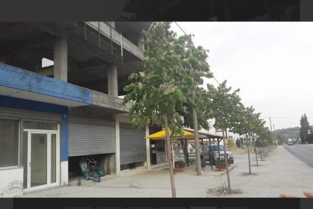 Gjirokaster, shitet ambjent biznesi Kati 5, 1.800 m² 270.000 Euro (Gjirokaster-Sarande)