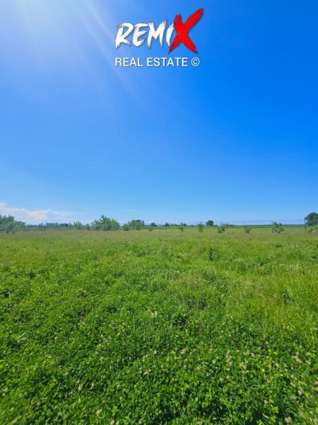 Durres, jepet me qera toke bujqesore , 6.000 m² 