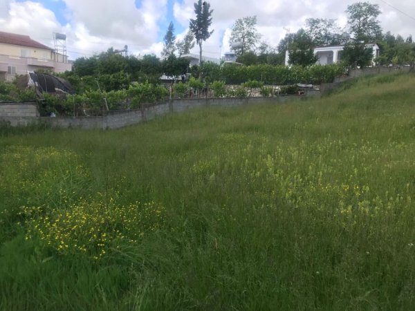 Durres, shes toke , 750 m² 55.000 € (në Shkozet Durres.)
