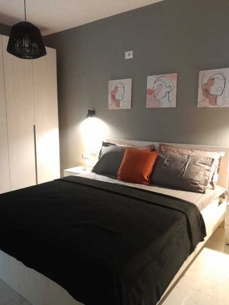Tirane, jepet me qera apartament 2+1+Ballkon Kati 5, 70 m² 850 € (Myslym Shyri)