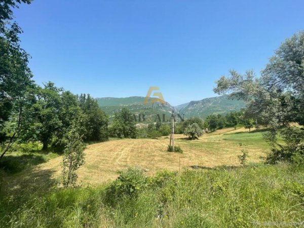 Tirane, shitet toke , 604 m² 38.700 € (Ibe e Poshtme)