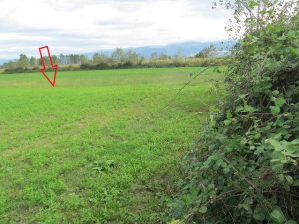 Kruje, shitet Toke Are 3.400 m² 780.800 Leke