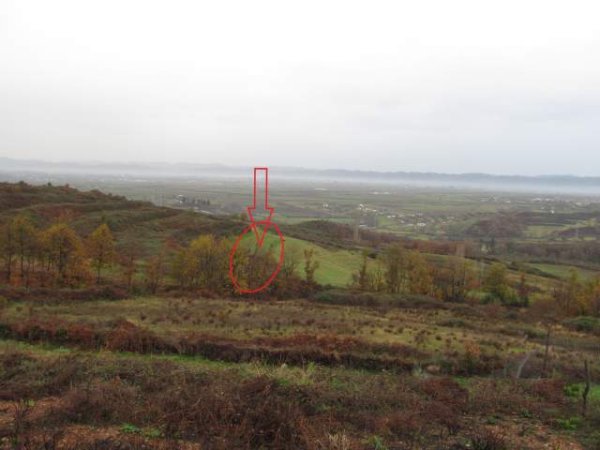 Kruje, shitet Toke Are 5.000 m² 3.096.000 Leke (Koder-Thumane)