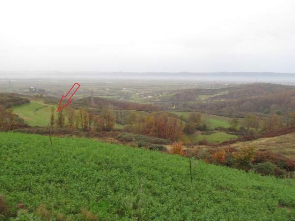 Kruje, shitet Toke Are 5.000 m² 3.096.000 Leke (Koder-Thumane)