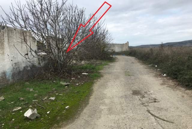 Rrogozhine, Kavaje Shitet Truall 3.000 m² + Ndertese 774 m² me siperfaqe totale 6,600 m², 24,650,957 Leke