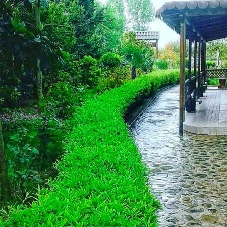 Tirane, shitet bar-resorant Kati 0, 384 m² 400.000 € (PEZE E VOGEL)