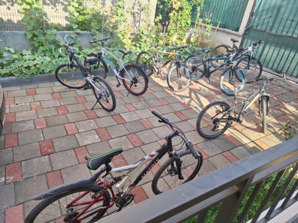 Tirane, shes biciklete WINNER Mountainbike e argjendtë 99 €