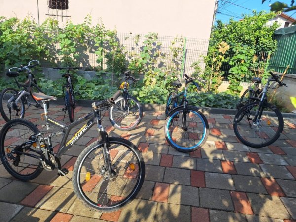 Tirane, shes biciklete WINNER Mountainbike e argjendtë 99 €