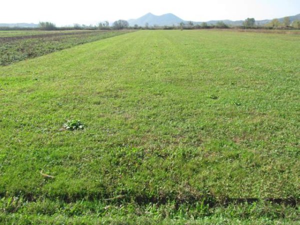 Shkoder, Stajke Shitet Toke Are 4.020 m² 1.440.640 Leke