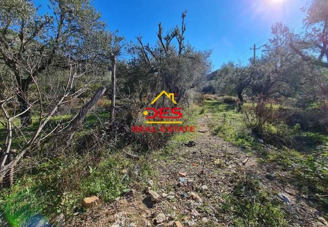 Himare, shes toke bujqesore 2.300 m² 345.000 Euro